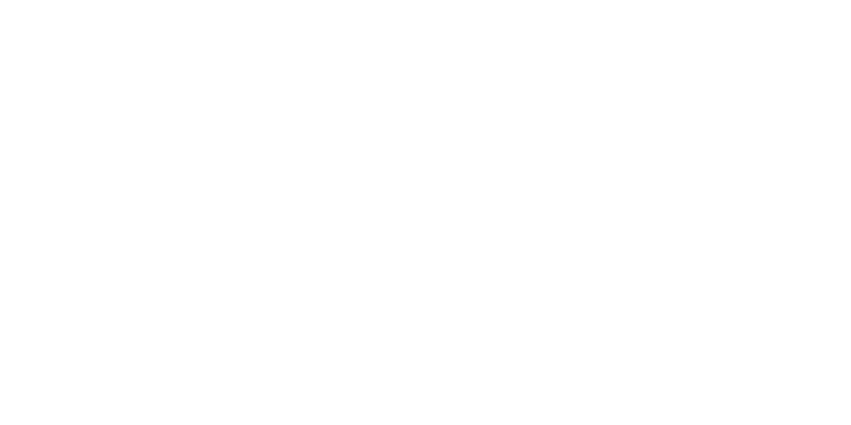 Meet the team